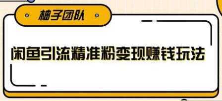 闲鱼引流精准粉变现赚钱玩法，每天可以引流精准粉100+-网创资源大全