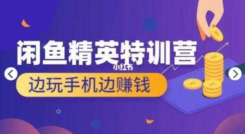 翼牛学堂 闲鱼项目精英特训营培训视频，月光族上班族的闲鱼赚钱课程-网创资源大全