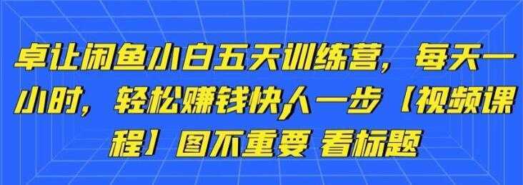 卓让《闲鱼项目小白五天训练营》每天一小时，轻松赚钱快人一步-网创资源大全
