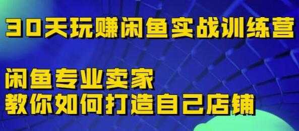 《30天玩赚闲鱼实战训练营》闲鱼专业卖家教你如何打造自己店铺-网创资源大全