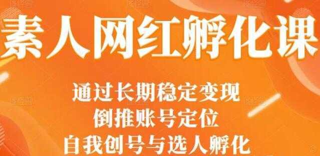 马大个《素人网红孵化课》通过长期稳定变现，自我创号与选人孵化-网创资源大全