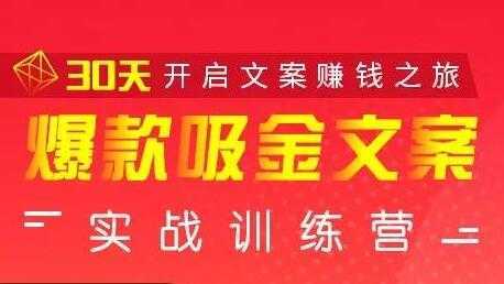 安顿文案写作《爆款吸金文案》实战训练营，30天开启文案赚钱之旅-网创资源大全