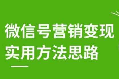 徐悦佳《微信号营销变现实用方法思路》朋友圈刷屏裂变方法-网创资源大全