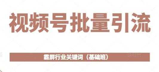 《视频号批量引流》霸屏行业关键词玩法（基础班）-网创资源大全