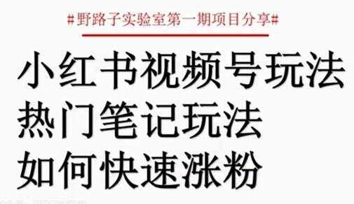 小红书视频号项目，直接上手操作，月入过万-网创资源大全