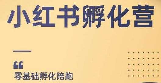 小红书撸金项目，教你如何快速起号获得曝光，做到月躺赚在3000+-网创资源大全