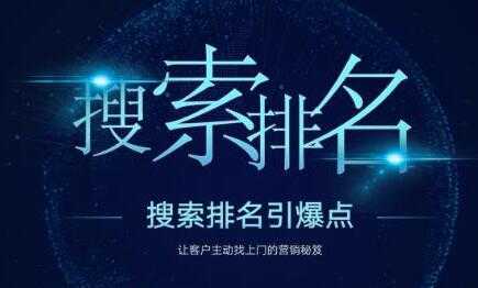 王通SEO《搜索排名引爆点》教你快速掌握各个搜索引擎排名算法-网创资源大全