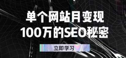 单个网站月变现《100万的SEO秘密》-网创资源大全