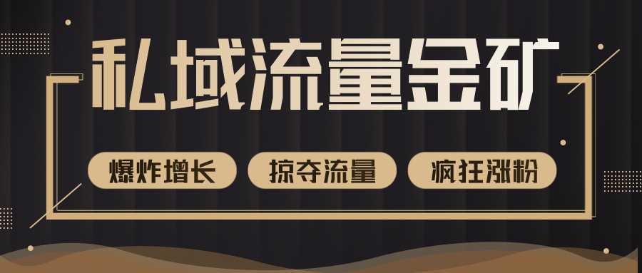 价值2200元私域流量的金矿，循环获取各大媒体精准流量，无限复制网红的精准流量！-网创资源大全