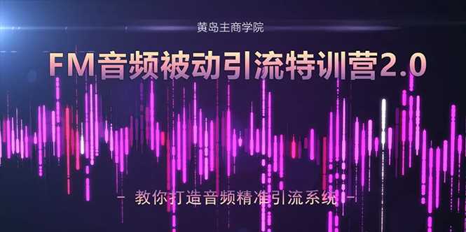 黄岛主·FM音频引流特训营2.0：独家引流模式，单账号50W+播放量，轻松变现-网创资源大全