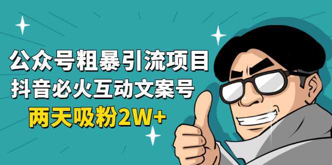 公众号粗暴引流项目：抖音必火互动文案号，两天吸粉2W+（可持续操作）-网创资源大全
