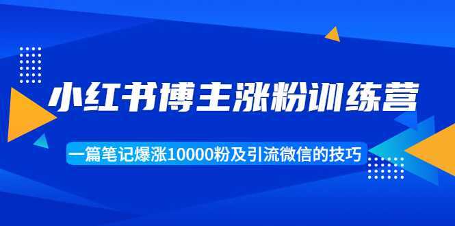 小红书博主涨粉训练营：一篇笔记爆涨10000粉及引流微信的技巧-网创资源大全