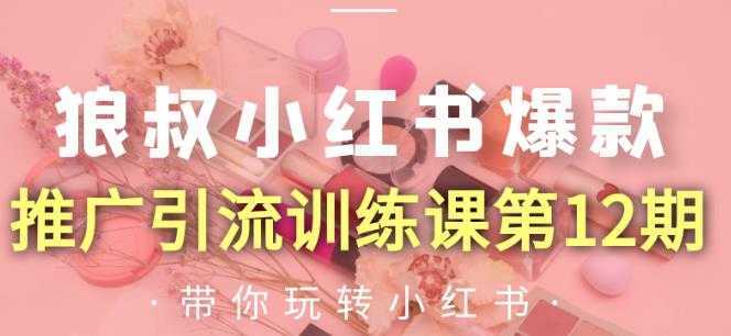 狼叔小红书爆款推广引流训练课第12期，手把手带你玩转小红书-网创资源大全