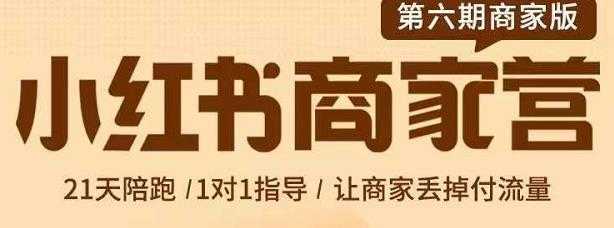贾真-小红书商家营第6期商家版，21天带货陪跑课，让商家丢掉付流量-网创资源大全