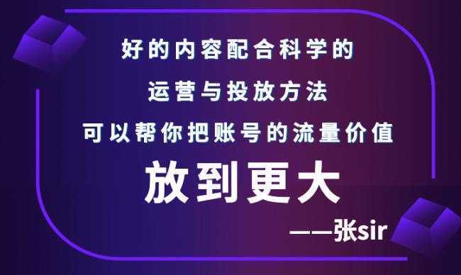 张sir账号流量增长课，告别海王流量，让你的流量更精准-网创资源大全