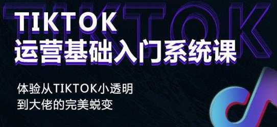 视频号批量引流，霸屏行业关键词（基础班）全面系统讲解视频号玩法-网创资源大全