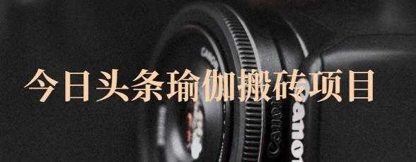 猎人社区·今日头条瑜伽搬砖项目，单号一天几十收入，可以批量操作！-网创资源大全