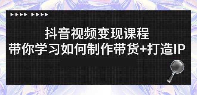 抖音短视频变现课程：带你学习如何制作带货+打造IP【41节】-网创资源大全