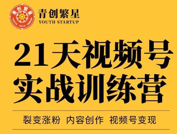 张萌21天视频号实战训练营，裂变涨粉、内容创作、视频号变现 价值298元-网创资源大全