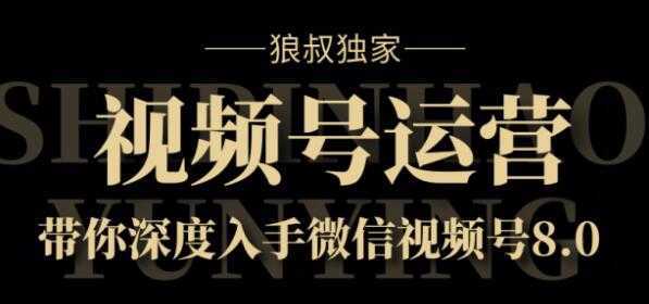 狼叔独家：视频号8.0运营实战课价值1280元-网创资源大全
