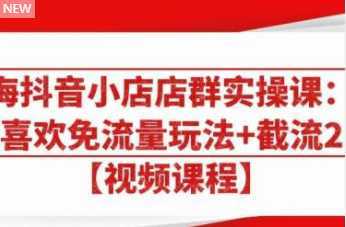 大海抖音小店店群实操课：猜你喜欢免流量玩法+截流 2.0-网创资源大全