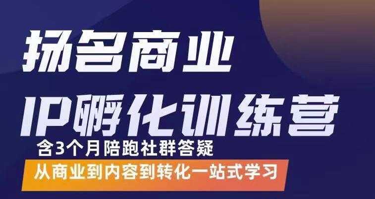 杨名商业IP孵化训练营，从商业到内容到转化一站式学 价值5980元-网创资源大全