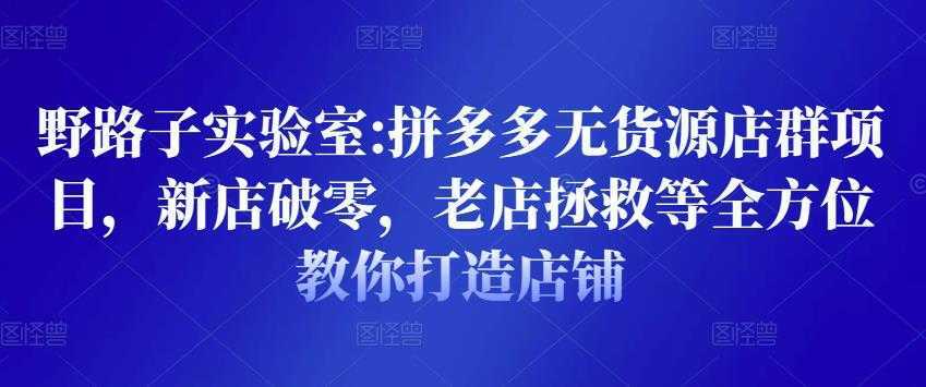 野路子实验室:拼多多无货源店群项目，新店破零，老店拯救等全方位教你打造店铺-网创资源大全