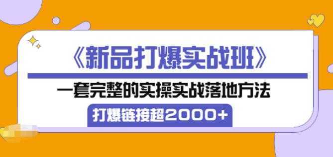 凌童《新品打爆实战班》,一套完整的实操实战落地方法，打爆链接超2000+（28节课)-网创资源大全
