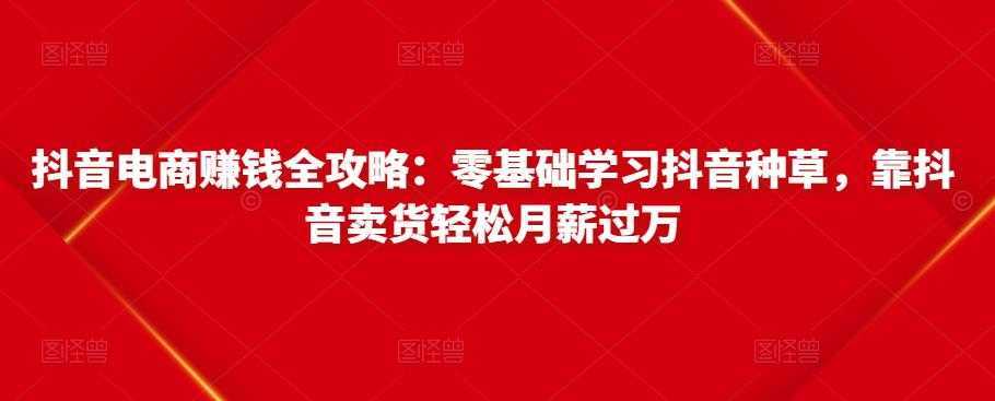 抖音电商赚钱全攻略：零基础学习抖音种草，靠抖音卖货轻松月薪过万-网创资源大全