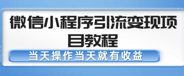 微信小程序引流变现项目教程，当天操作当天就有收益，变现不再是难事-网创资源大全