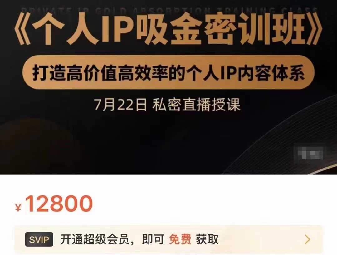 个人IP吸金密训班，打造高价值高效率的个人IP内容体系（价值12800元）-网创资源大全