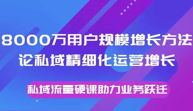 8000万用户规模增长方法论私域精细化运营增长，私域流量硬课助力业务跃迁-网创资源大全
