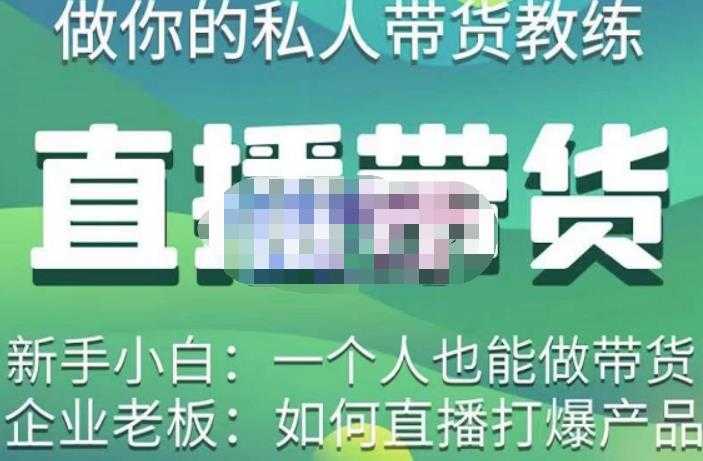 硬核传媒·直播带货（私人教练），实操实战教学，通俗易懂，学完后新手小白一个人也能做带货-网创资源大全