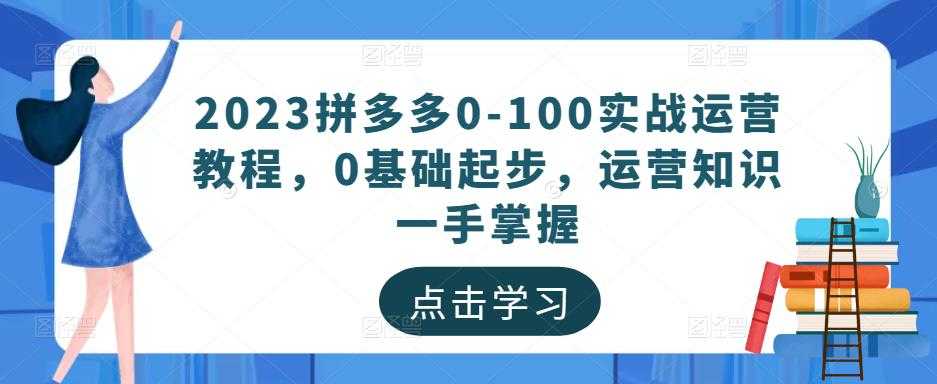 2023拼多多0-100实战运营教程，0基础起步，运营知识一手掌握-网创资源大全