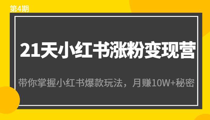 21天小红书涨粉变现营（第4期）：带你掌握小红书爆款玩法，月赚10W+秘密-网创资源大全