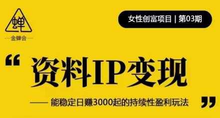 图片[1]-资料IP变现，能稳定日赚3000起的持续性盈利玩法-网创资源大全