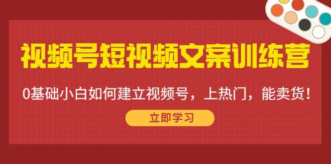 视频号短视频文案训练营：0基础小白如何建立视频号，上热门，能卖货！-网创资源大全