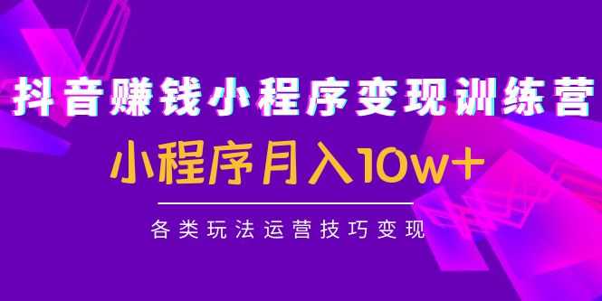 抖音赚钱小程序变现训练营：小程序月入10w+各类玩法运营技巧变现-网创资源大全