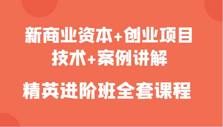 图片[1]-新商业资本+创业项目，技术+案例讲解，精英进阶班全套课程-网创资源大全