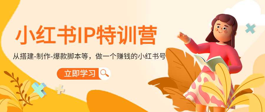 小红书IP特训营：从搭建-制作-爆款脚本等等，做一个赚钱的小红书号-网创资源大全