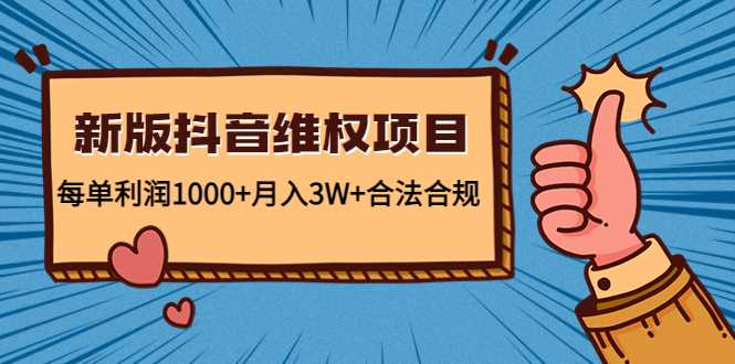 新版抖音维全项目：每单利润1000+月入3W+合法合规-网创资源大全