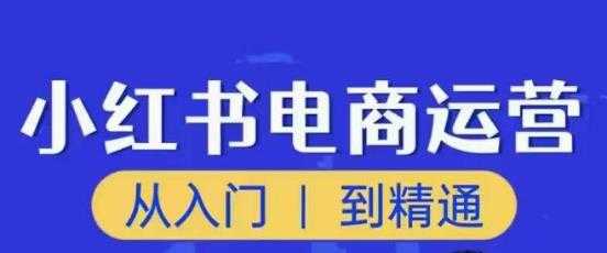顽石小红书电商高阶运营课程，从入门到精通，玩法流程持续更新-网创资源大全