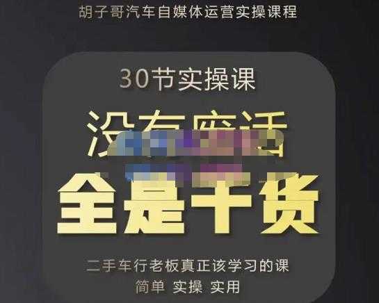 图片[1]-胡子哥·汽车自媒体运营实操课，汽车新媒体二手车短视频运营教程-价值8888元-网创资源大全