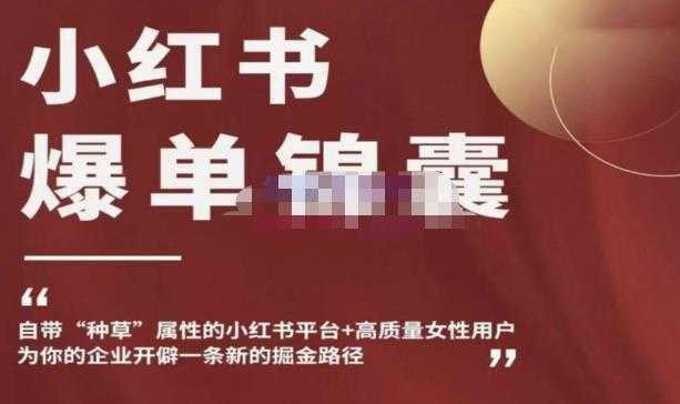小红书爆单锦囊，自带种草属性+高质量女性用户，为你的企业开辟一条新的掘金路径-网创资源大全