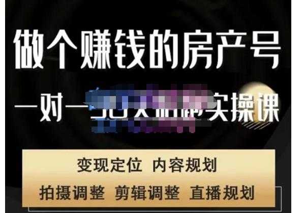 刘广标·同城房产号线上陪跑课，拍摄、剪辑、写文案、直播，做一个具有潜力价值的房产号-网创资源大全