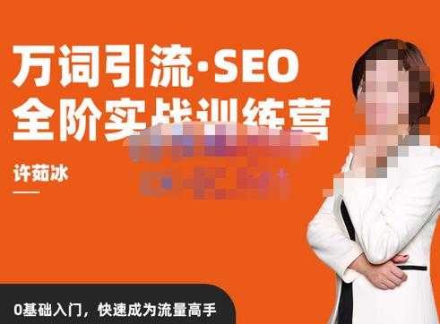 许茹冰·万词引流-SEO全阶实战训练营，0基础入门，快速成为流量高手-网创资源大全