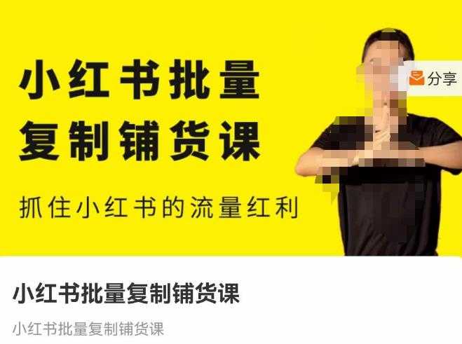 张宾·小红书批量复制铺货课，抓住小红书的流量红利 （更新2023年2月）-网创资源大全