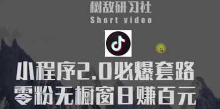 树敌研习社6月抖音赚钱课程：抖音小程序2.0必爆套路零粉无橱窗日赚百元玩法-网创资源大全