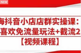 大海抖音小店店群实操课：猜你喜欢免流量玩法+截流 2.0-网创资源大全