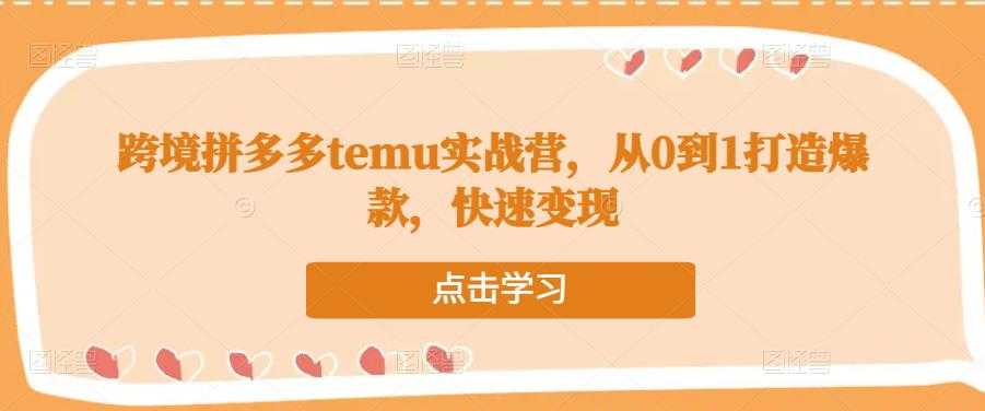 跨境拼多多temu实战营，从0到1打造爆款，快速变现-网创资源大全